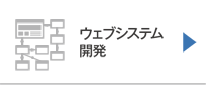 ウェブシステム開発