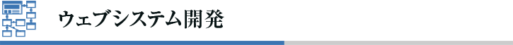 ウェブシステム開発